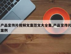 产品宣传片视频文案范文大全集,产品宣传片案例