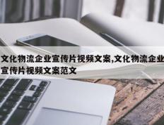 文化物流企业宣传片视频文案,文化物流企业宣传片视频文案范文