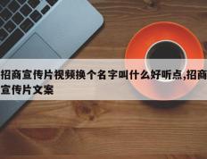 招商宣传片视频换个名字叫什么好听点,招商宣传片文案