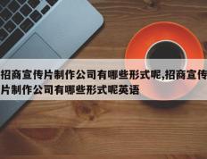 招商宣传片制作公司有哪些形式呢,招商宣传片制作公司有哪些形式呢英语