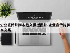 企业宣传片脚本范文模板图片,企业宣传片脚本文案