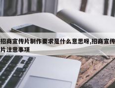 招商宣传片制作要求是什么意思呀,招商宣传片注意事项