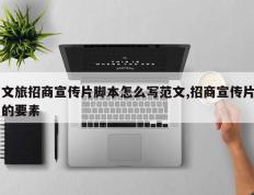 文旅招商宣传片脚本怎么写范文,招商宣传片的要素