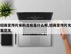 招商宣传片采购流程是什么呢,招商宣传片文案范文